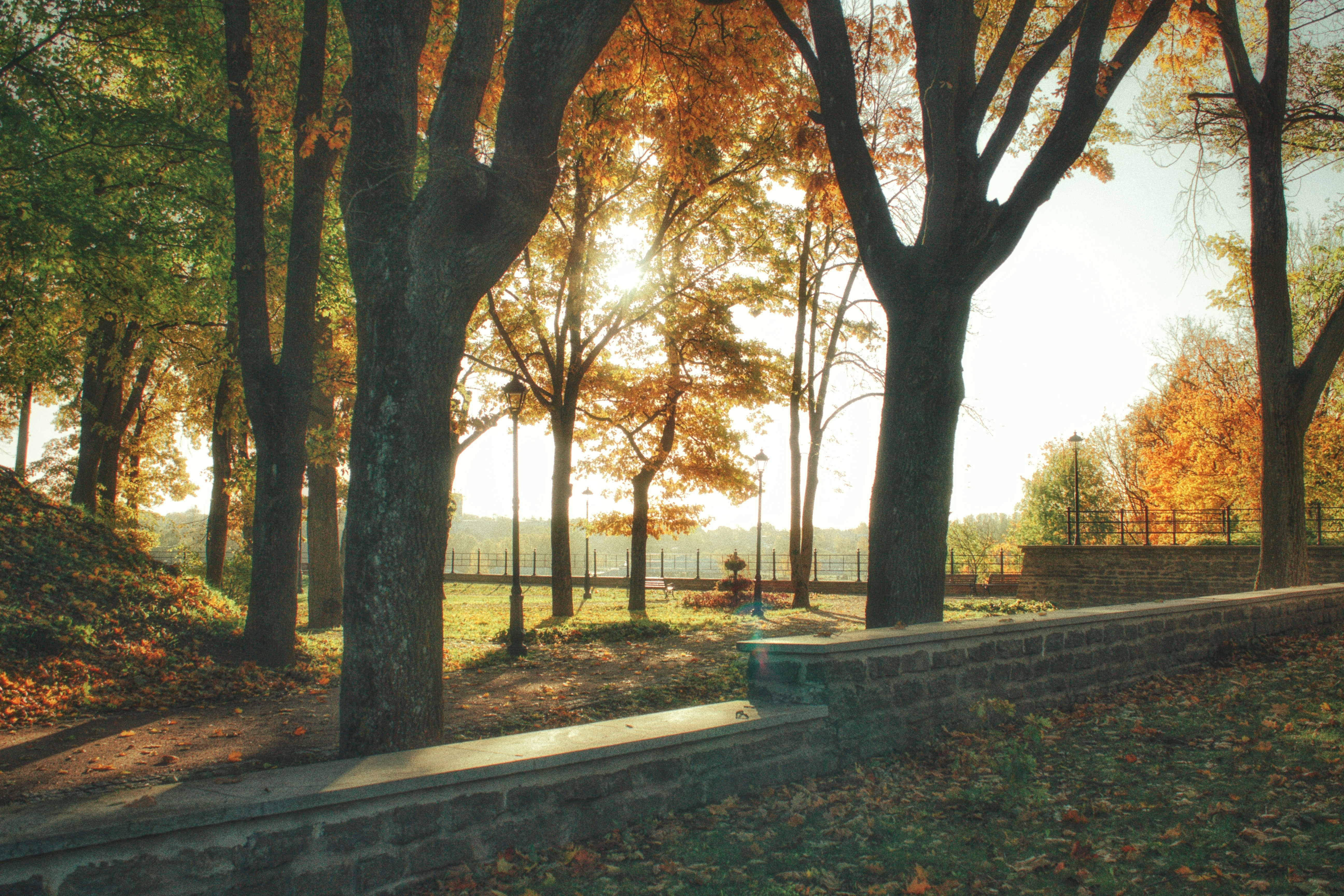 Photo by maximyuryshev