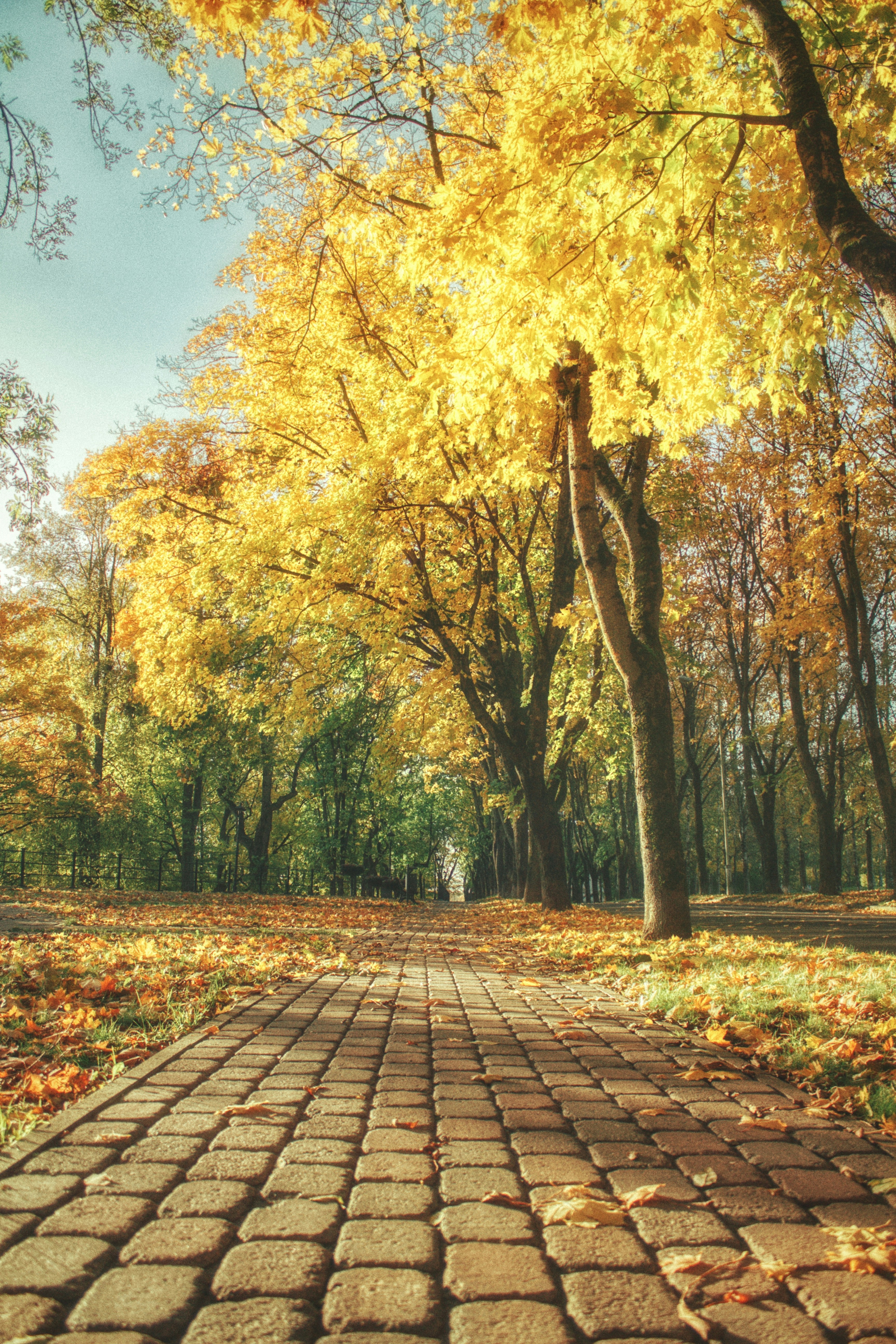 Photo by maximyuryshev