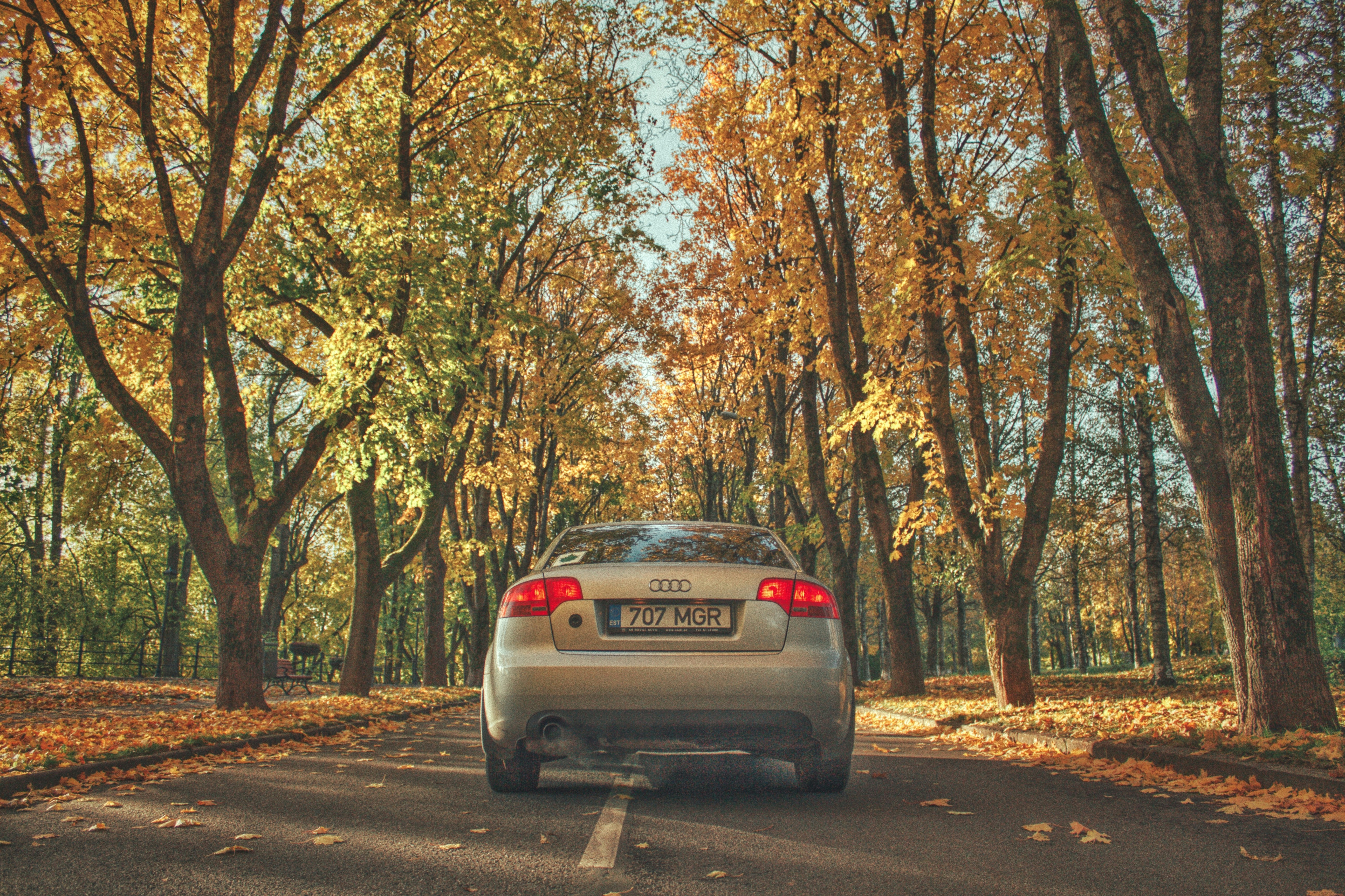 Photo by maximyuryshev