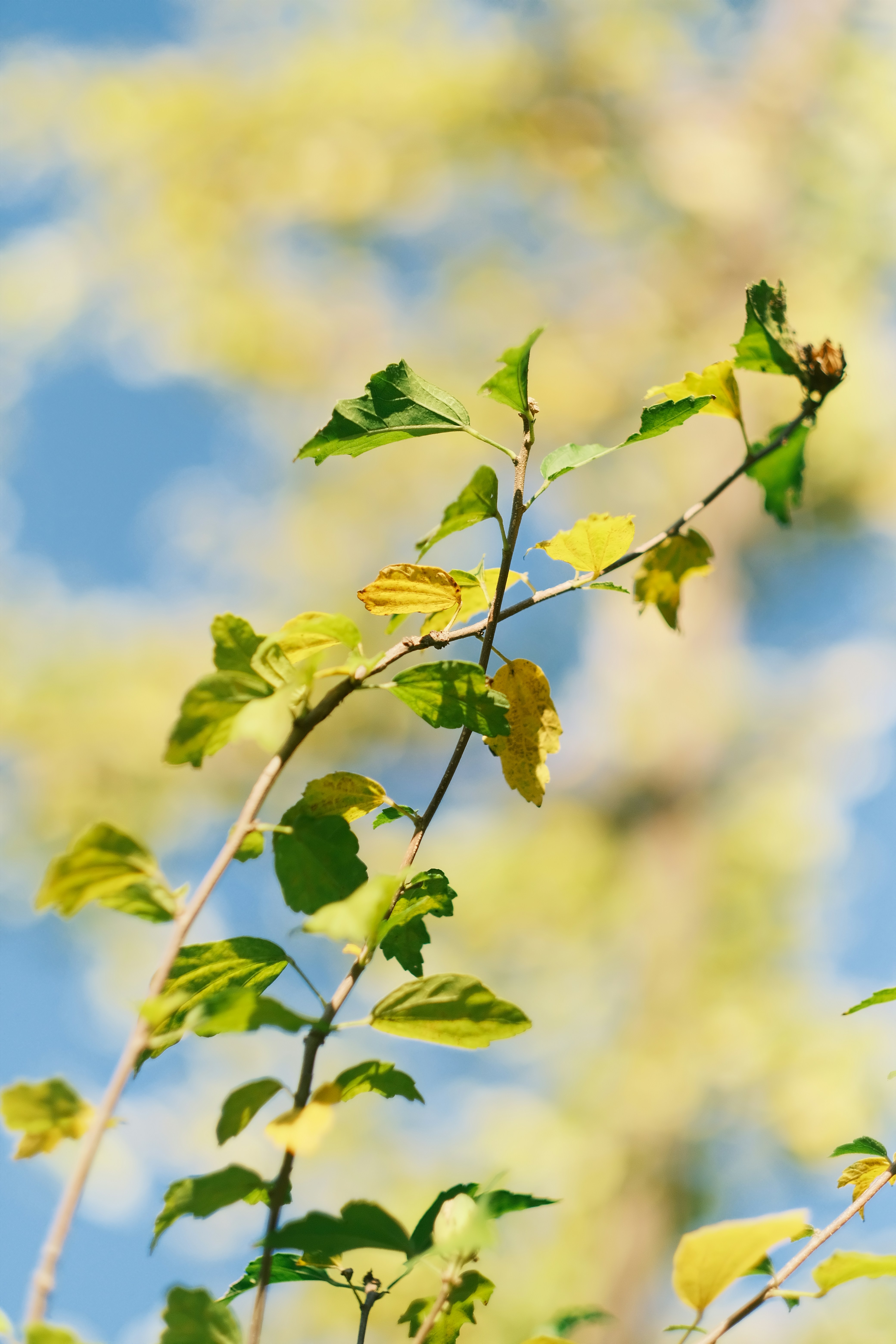 Photo by maycloudbackup