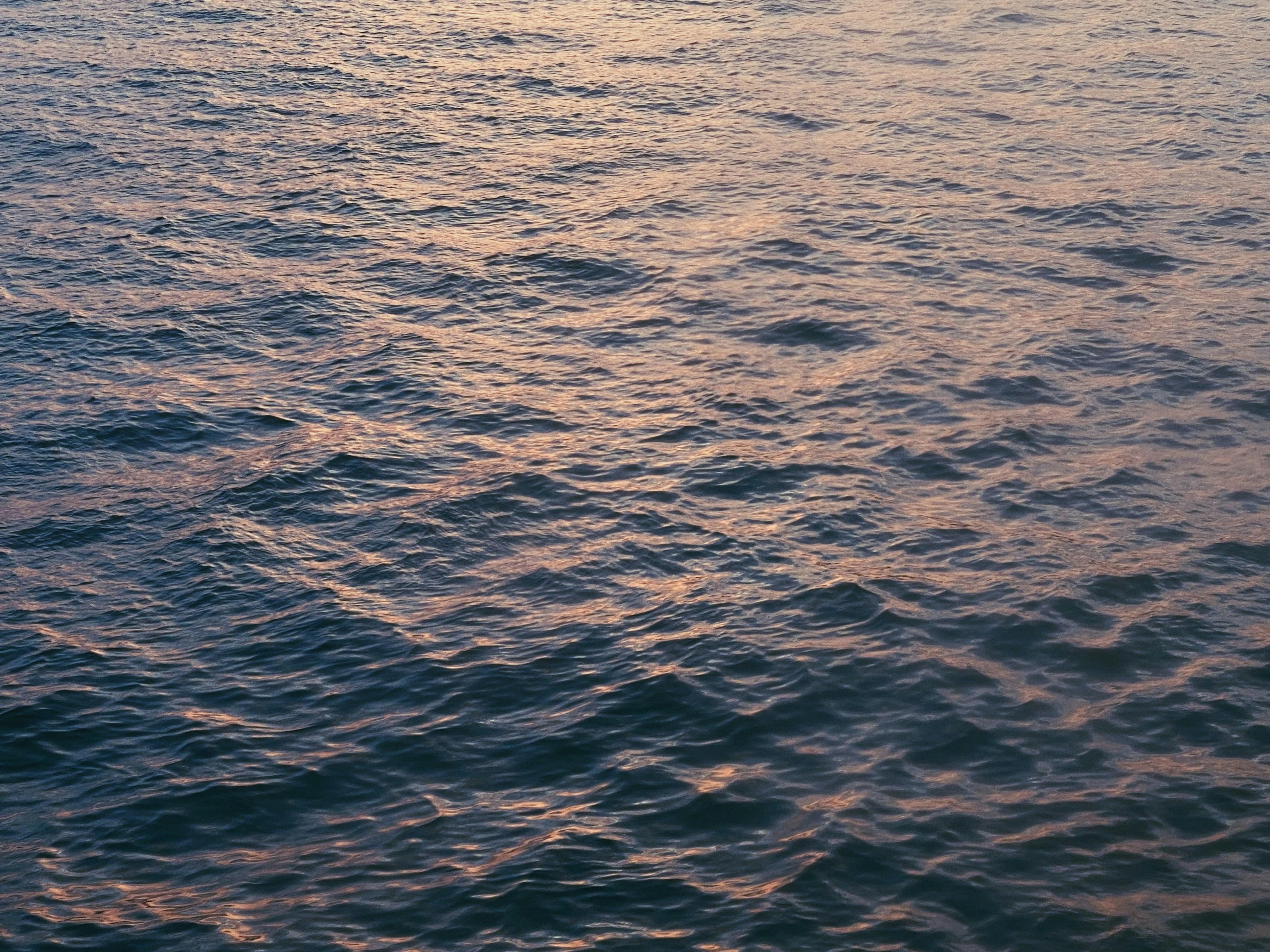 Photo by giorgiotrovato