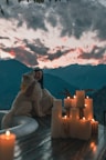 a woman sitting on a table with a dog