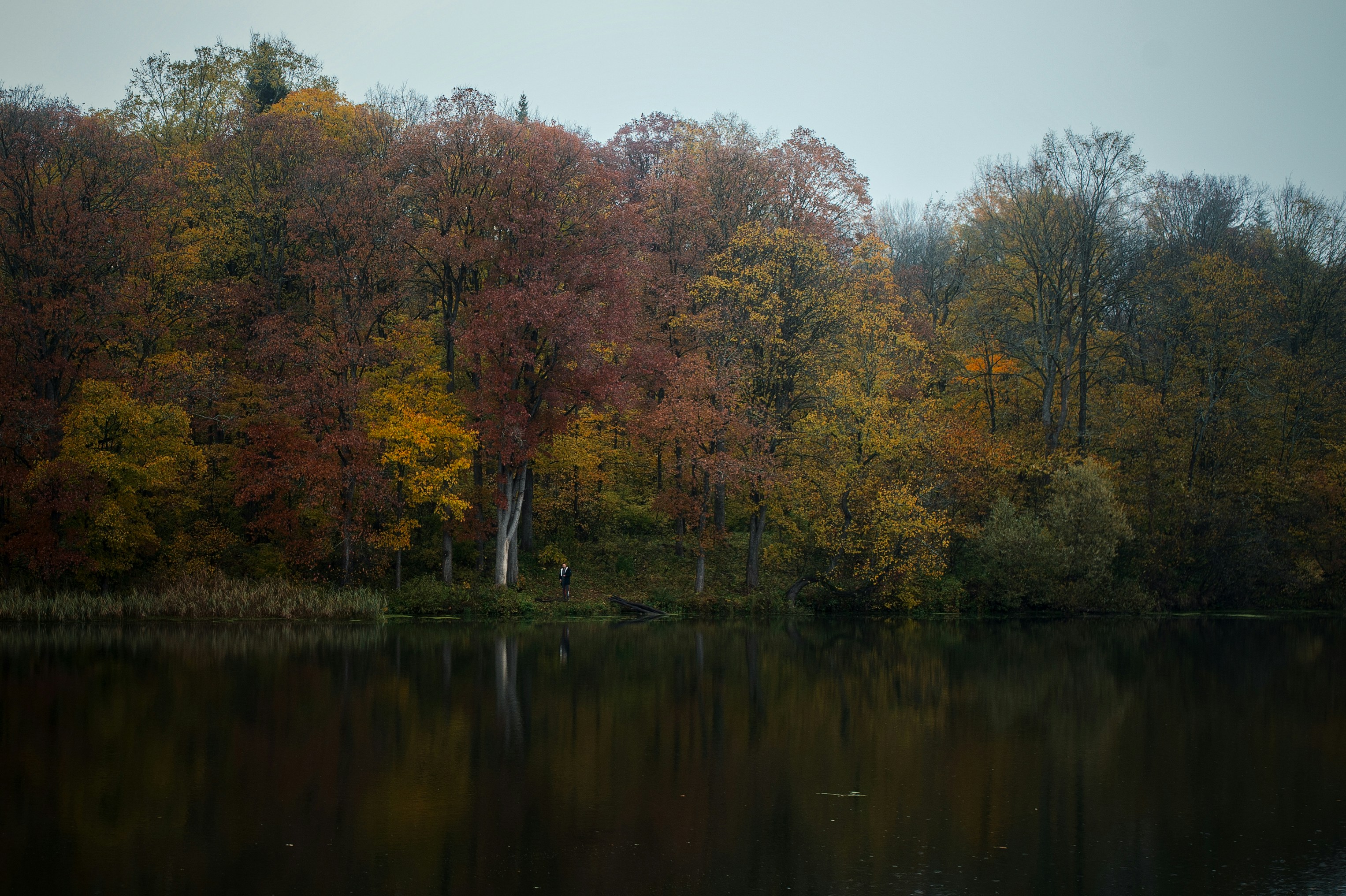 Photo by evil_bumblebee