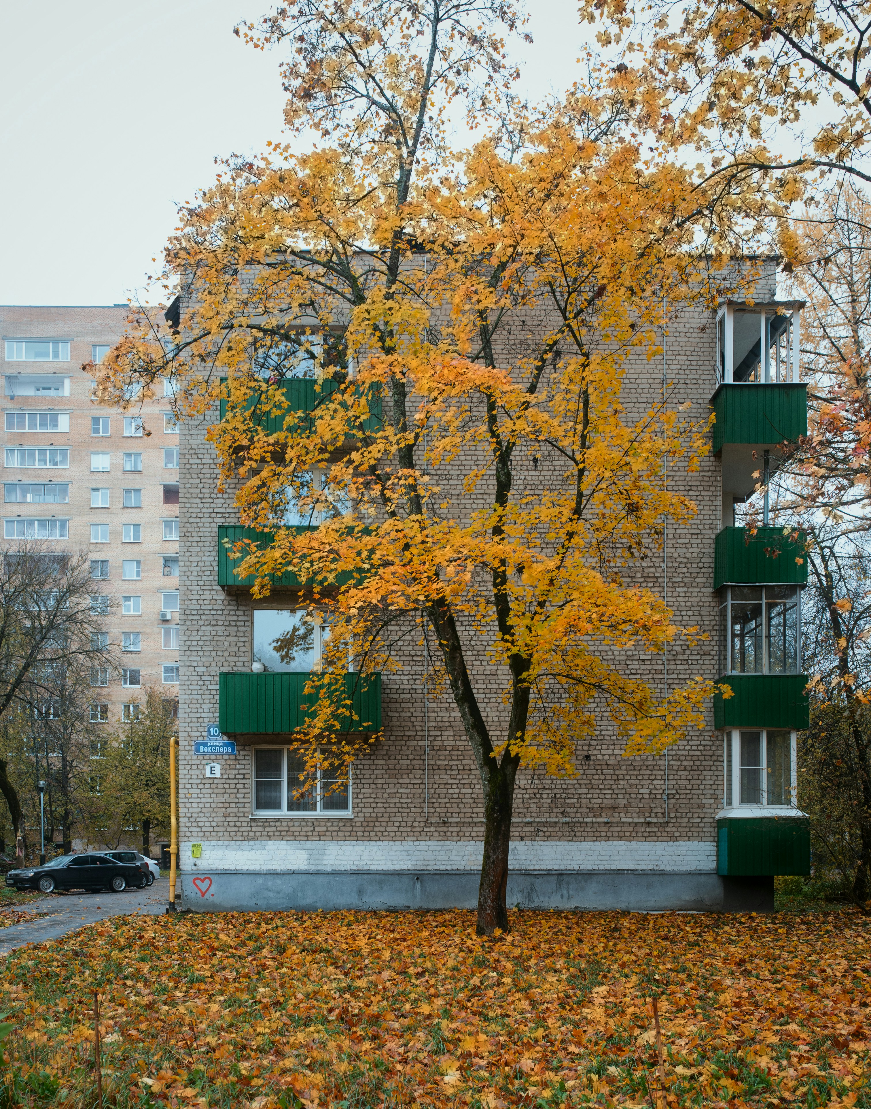 Photo by evil_bumblebee