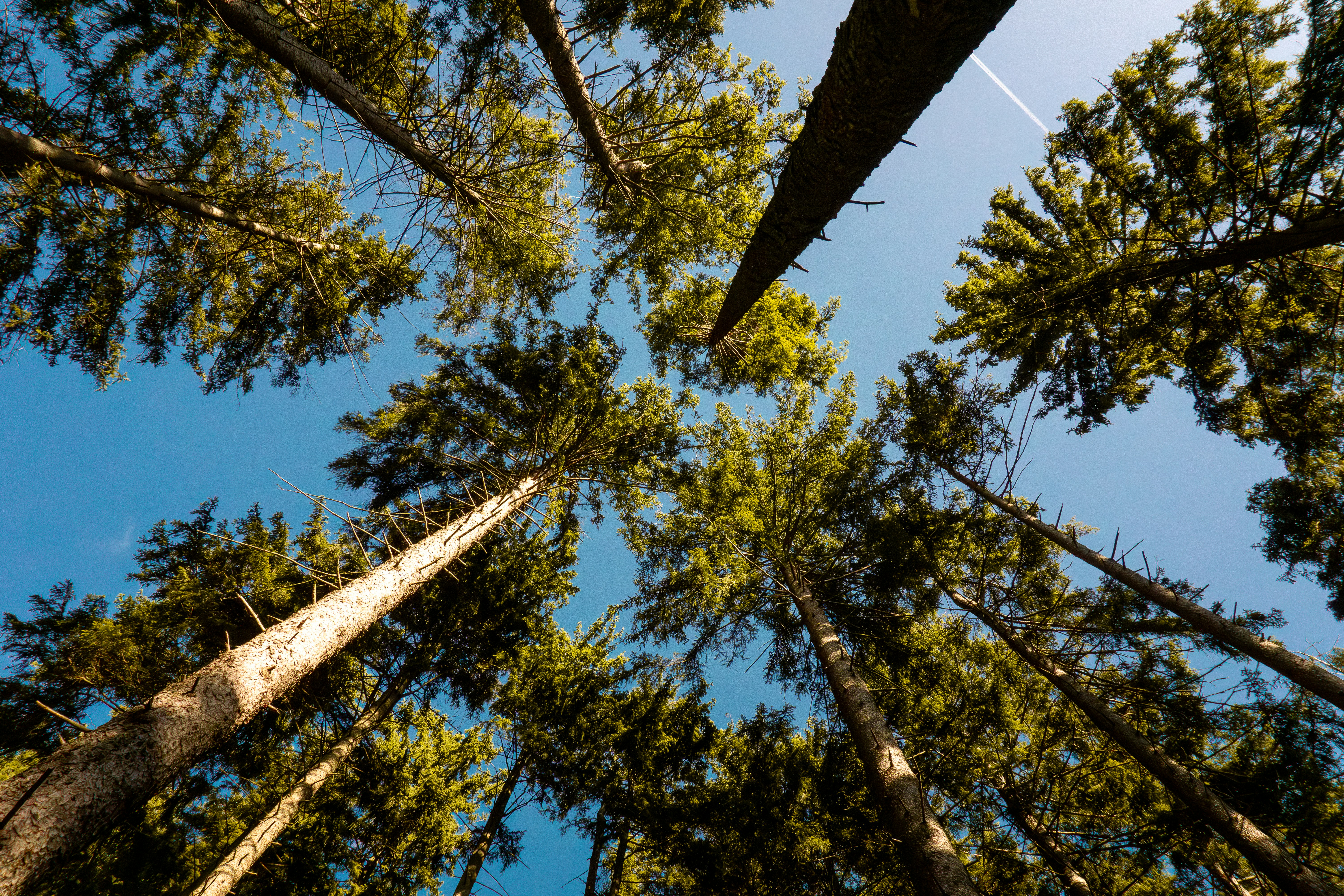 Photo by marie_hastreiter