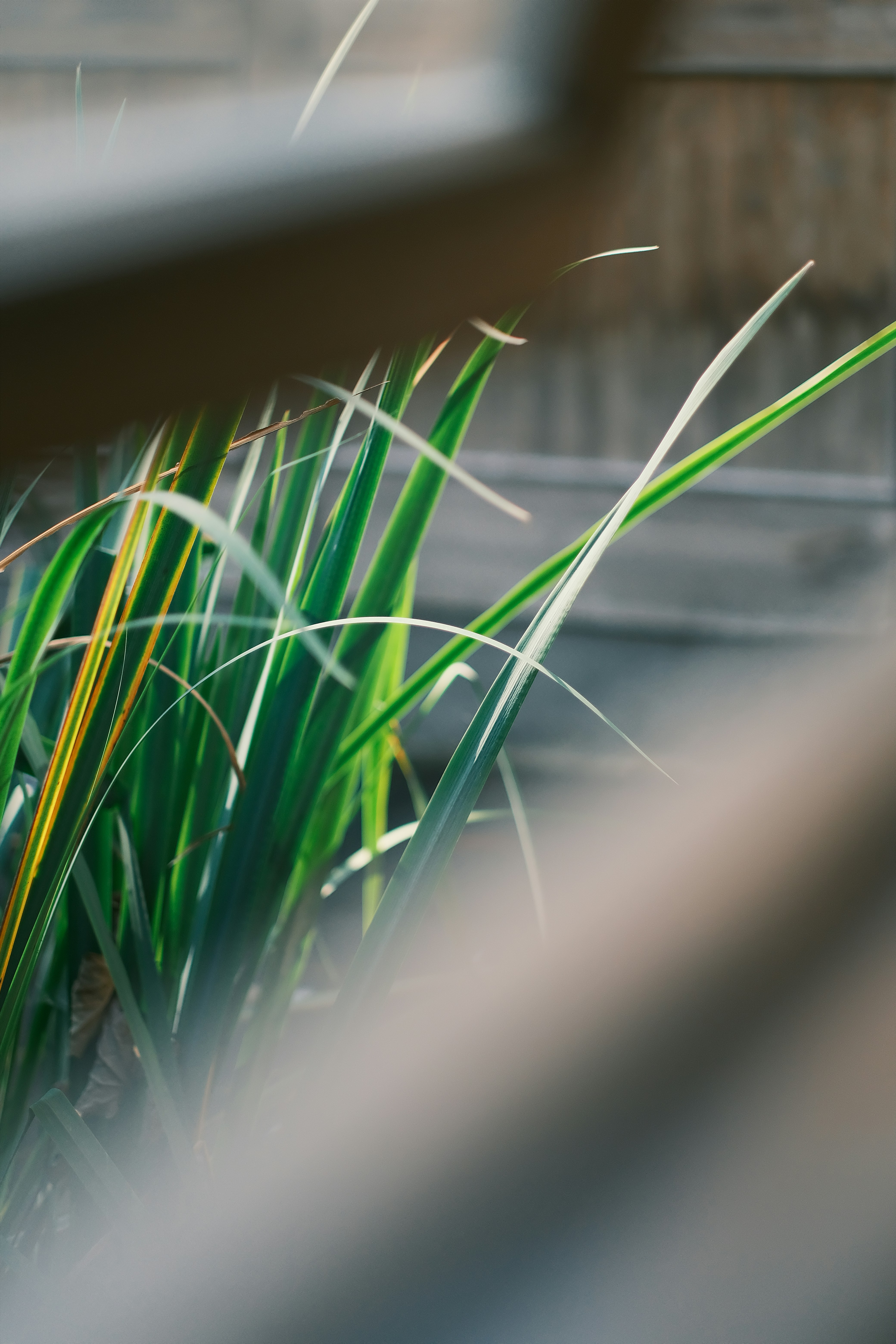 Photo by maycloudbackup