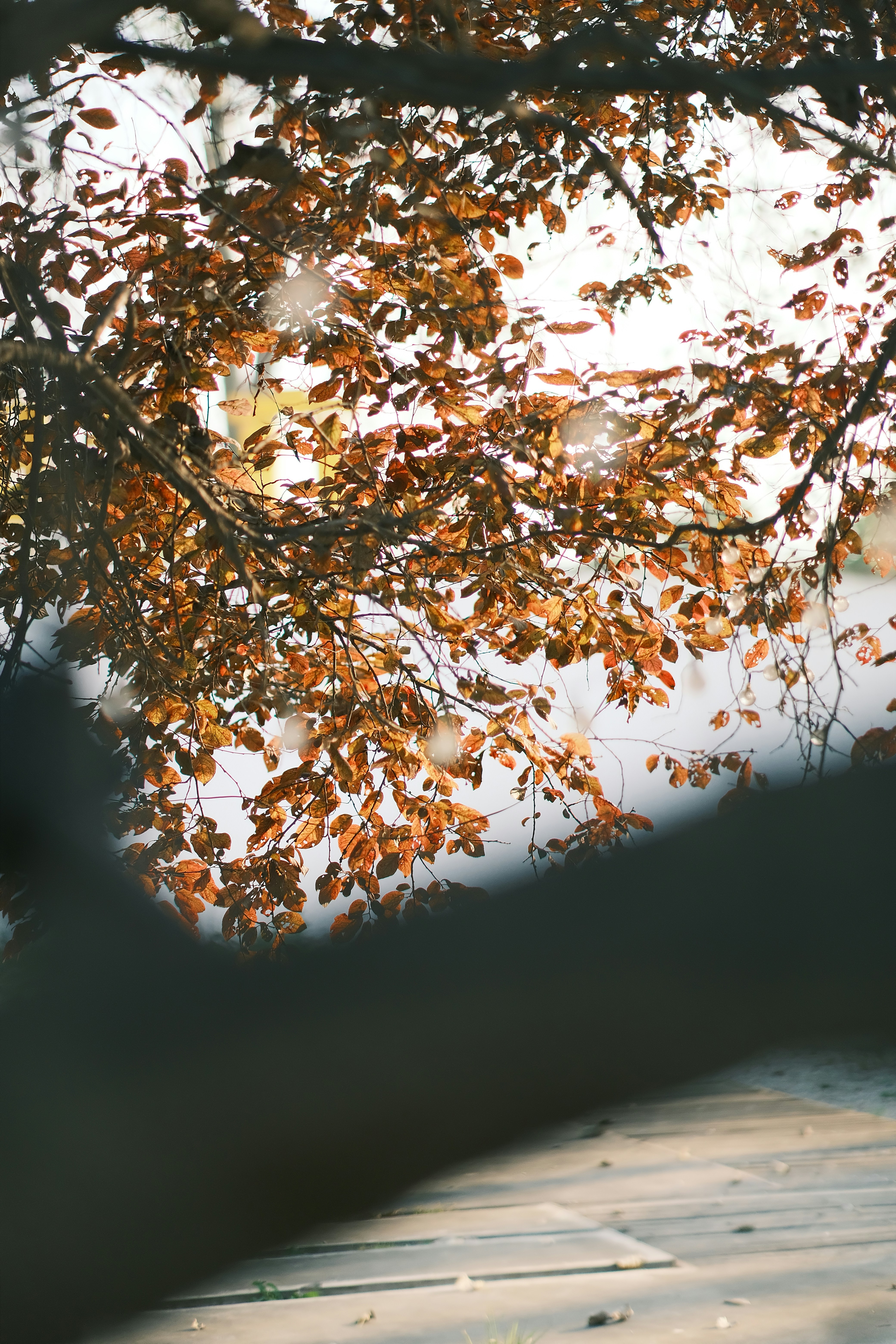 Photo by maycloudbackup