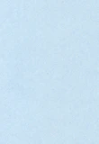 A light blue paper texture with a subtle fibrous surface