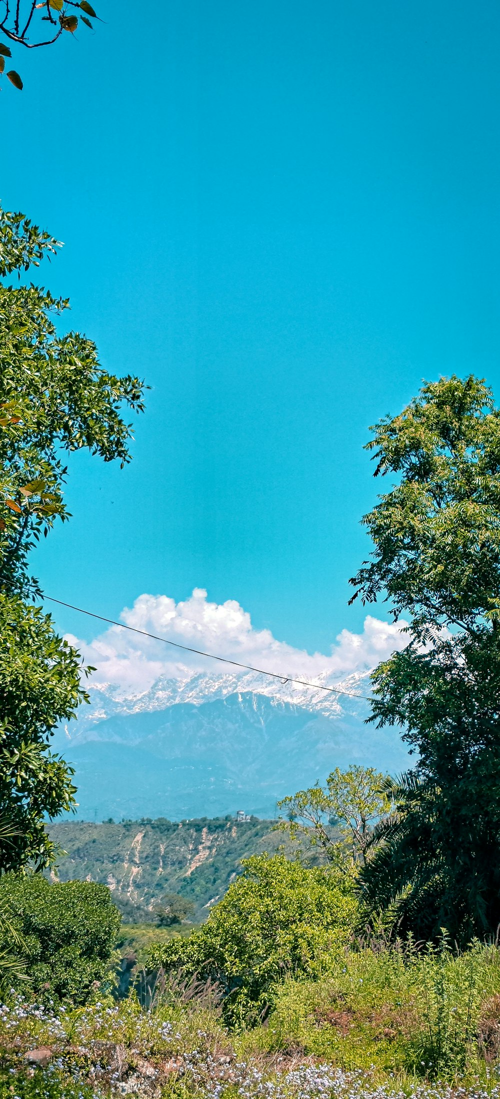 Una veduta di una catena montuosa da un'area boschiva