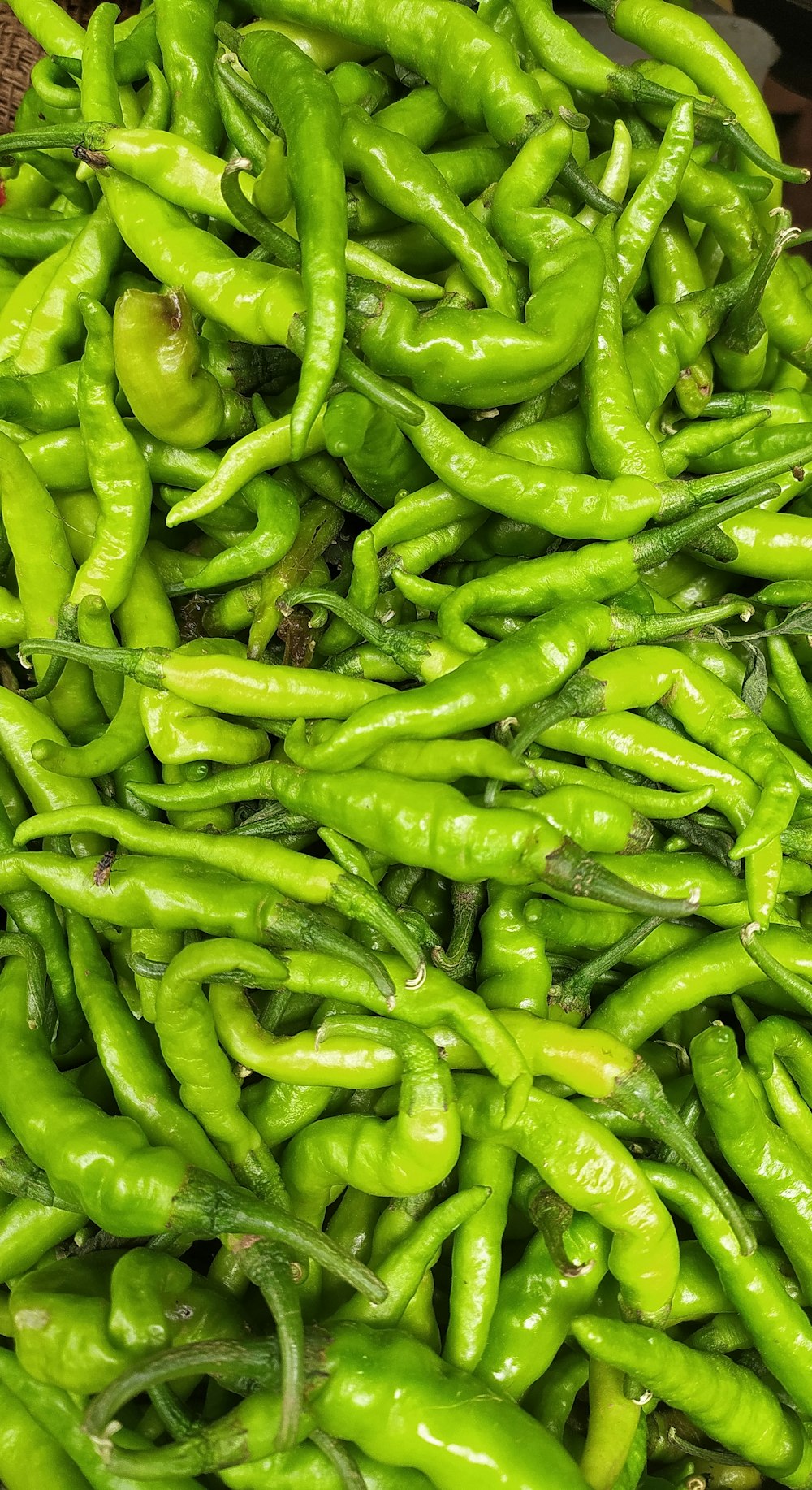 a pile of green peppers sitting on top of a table