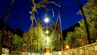 a walkway with a light on at night