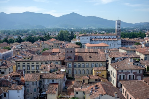 A panoramic view of a historic town with a multitude of terracotta-roofed buildings. In the background, a notable clock tower and a large white stone church structure stand out amidst the densely packed buildings. Surrounding the town, lush greenery with trees and hills extends into the horizon beneath a clear blue sky.