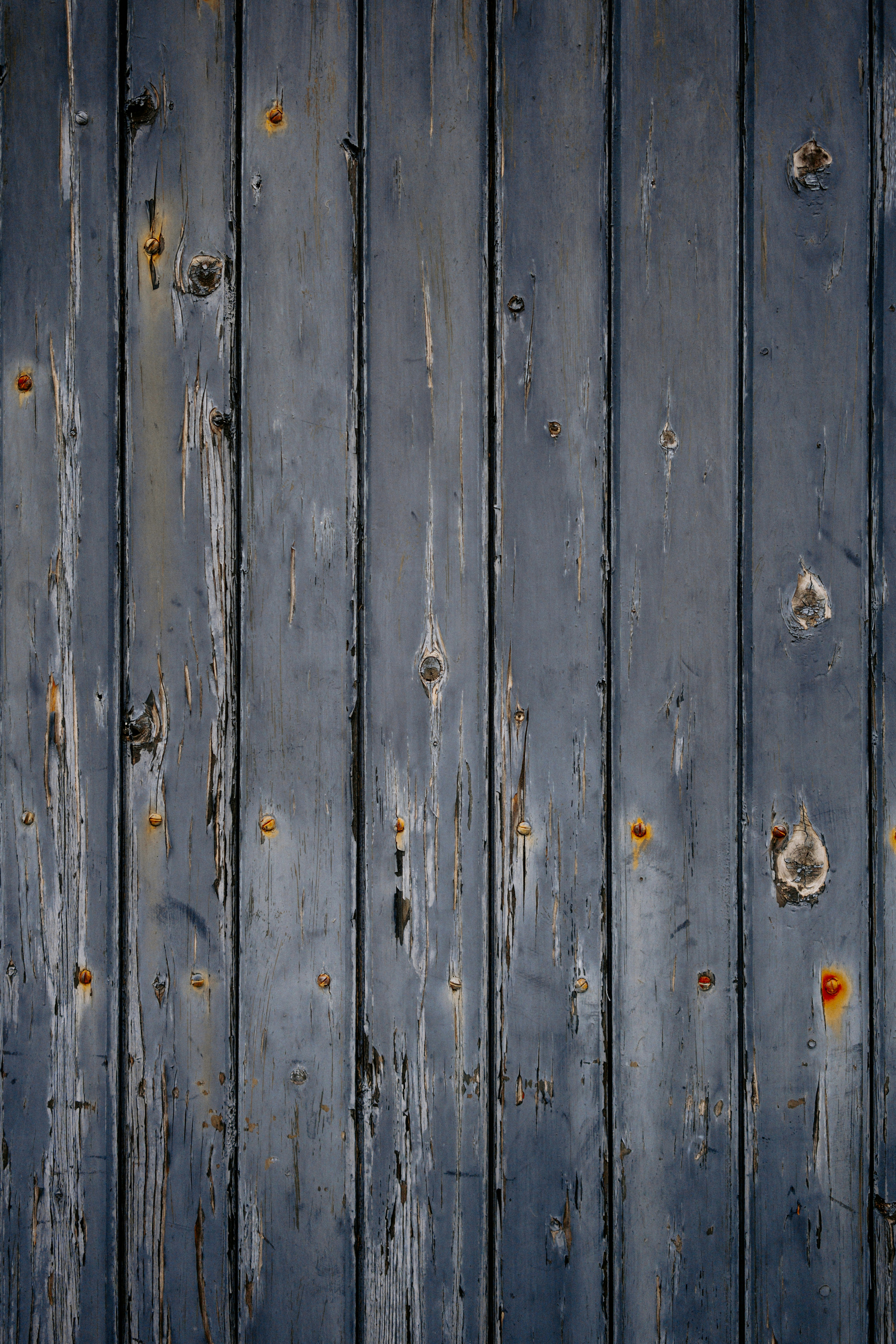 Photo by marinareich