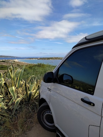 A vibrant van driving along a sunny coastal road in Los Cabos.