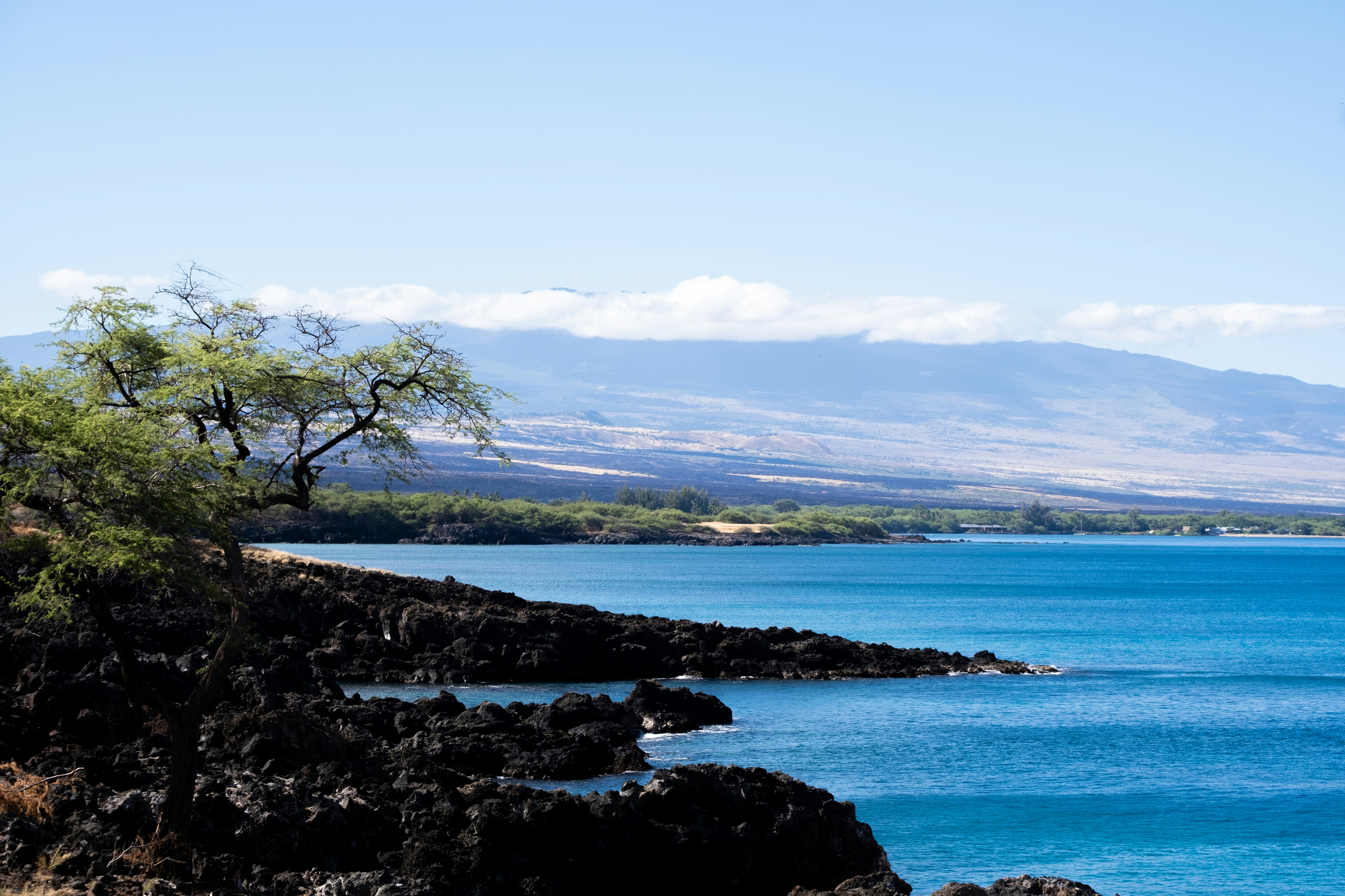 Photo by cestmoisheedy