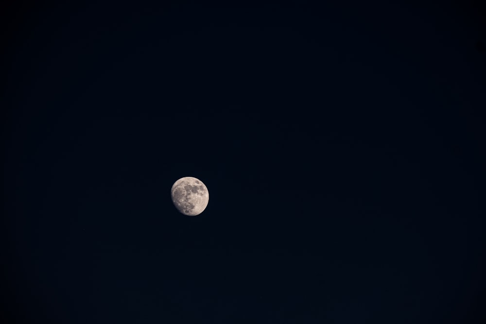 Una luna llena se ve en el cielo oscuro