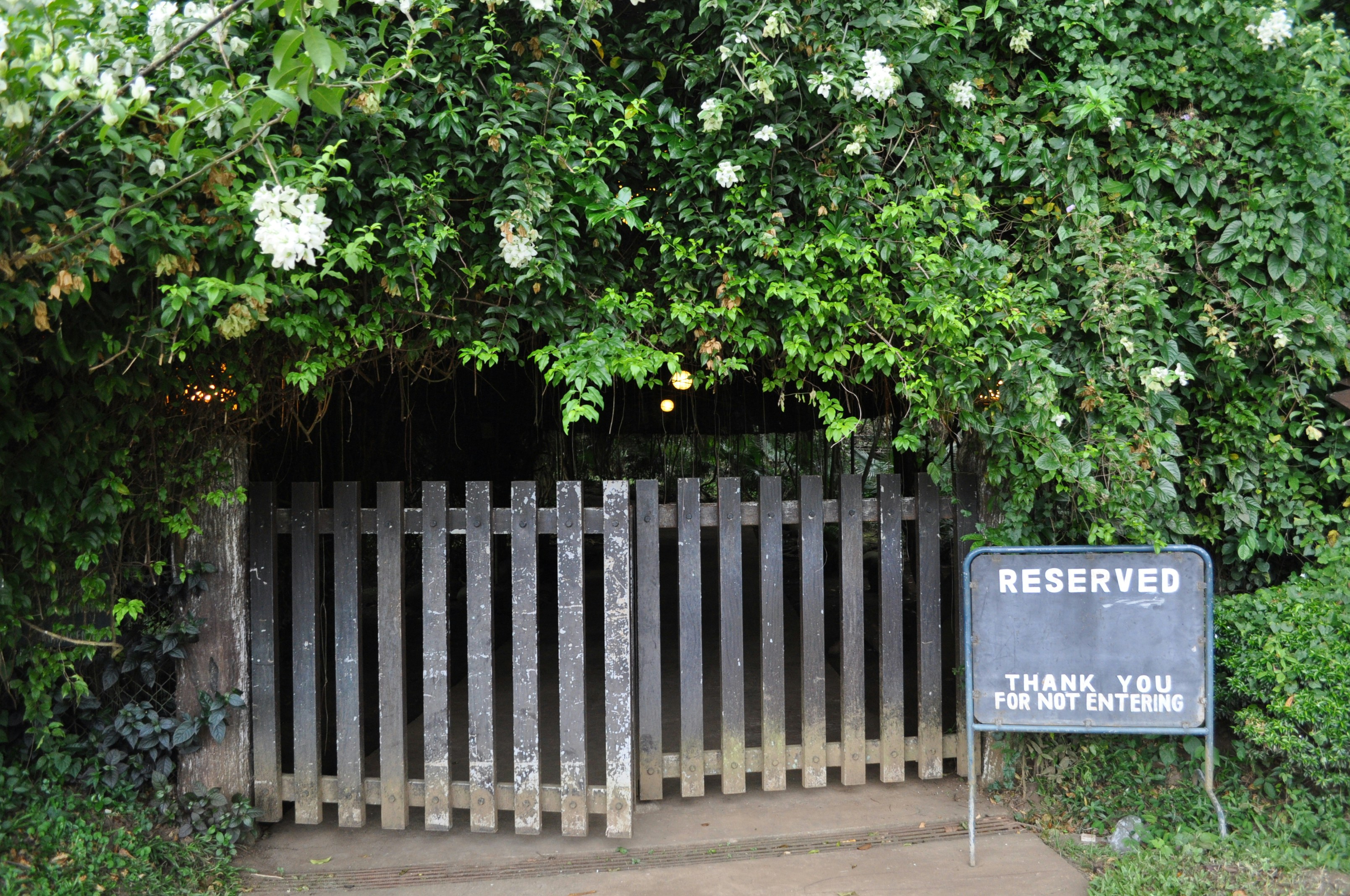 Photo by rserrano0203