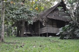 A rustic wooden cabin is nestled in a lush forest setting, surrounded by dense foliage and tall trees. The cabin has a thatched roof and wooden walls, with a small porch at the front. The ground is covered in green grass and scattered leaves, adding to the secluded, natural environment.