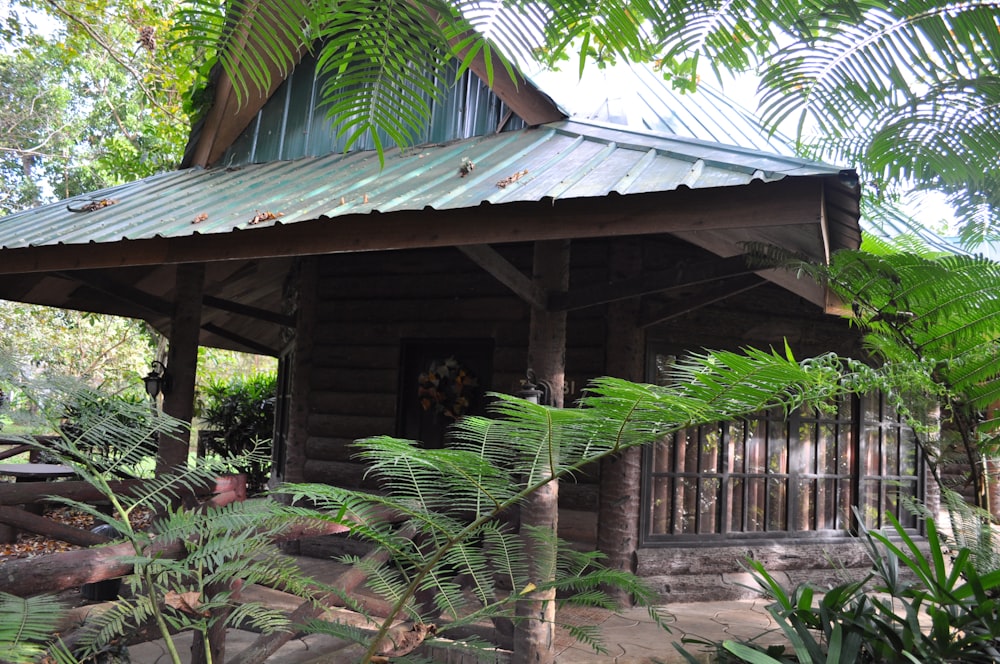 a wooden cabin with a metal roof surrounded by trees