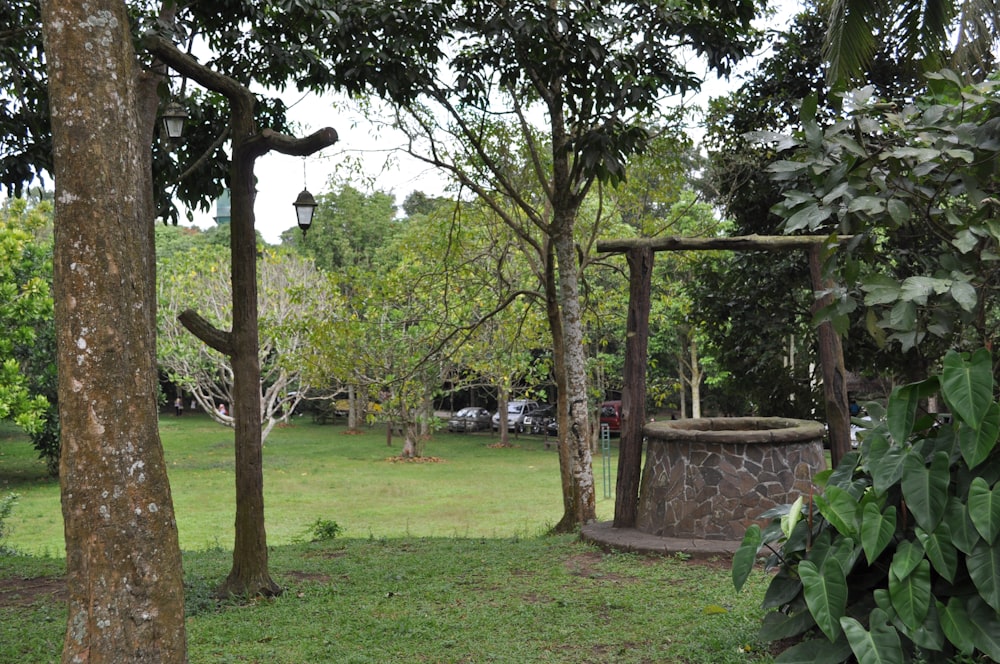 a park with trees and a stone structure