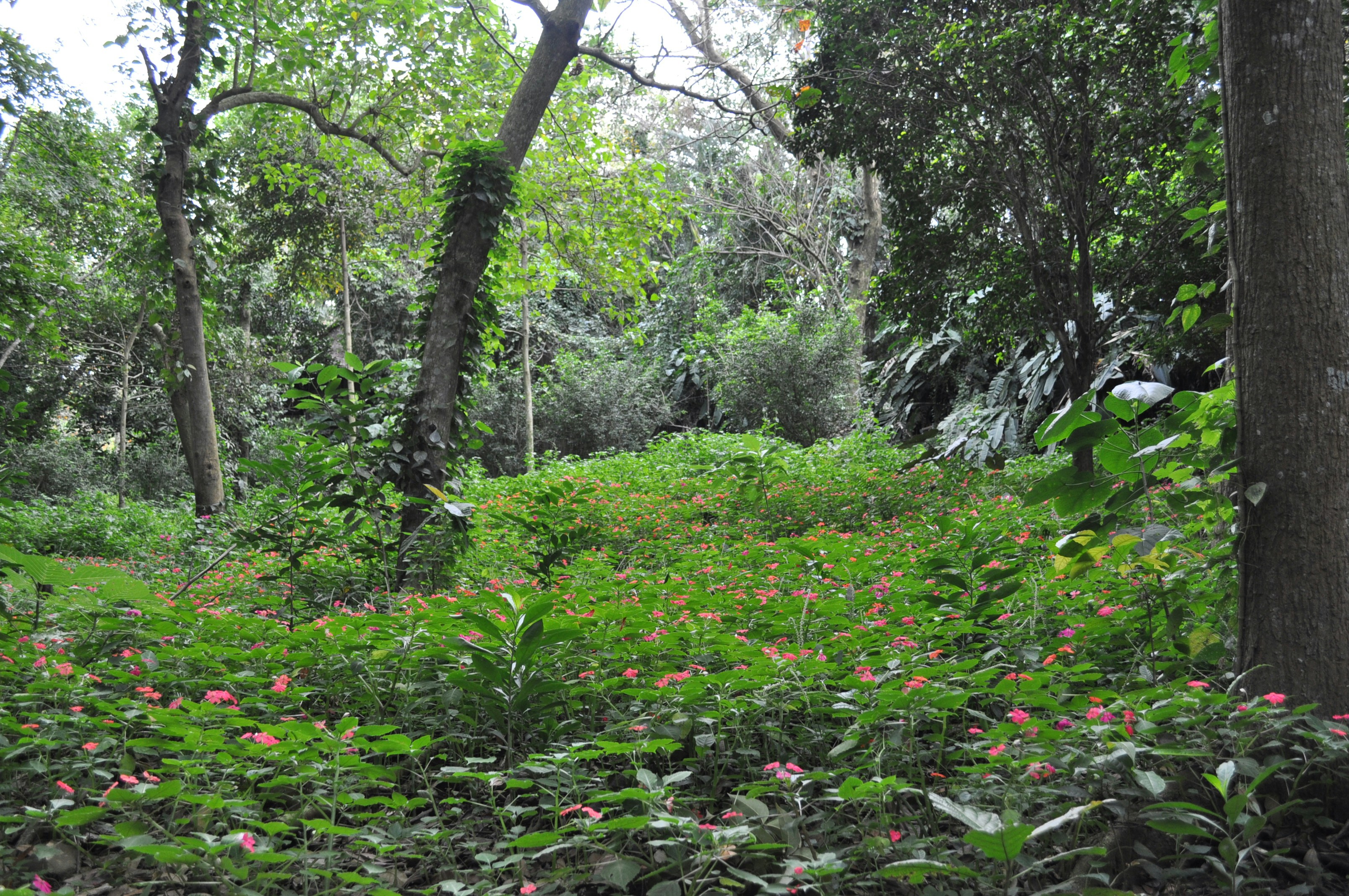 Photo by rserrano0203