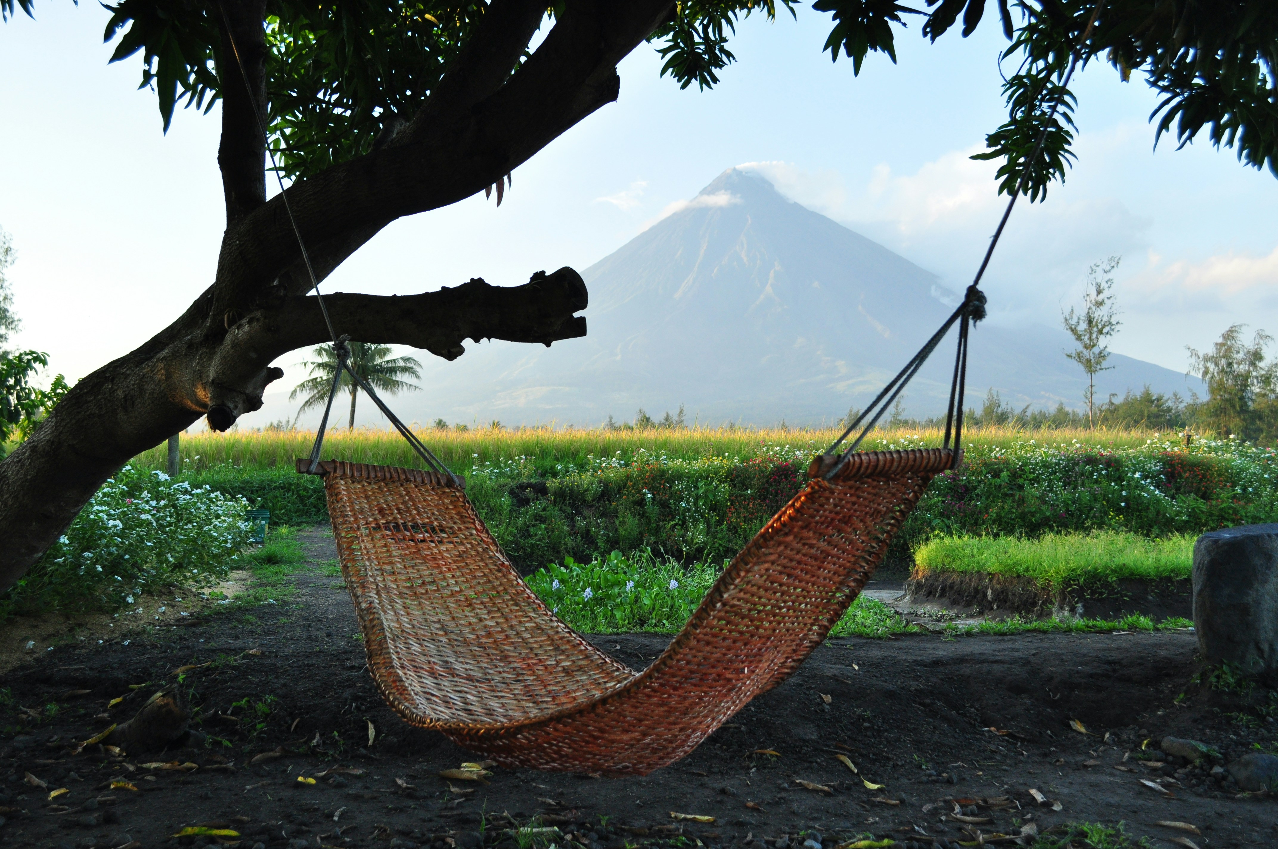 Rede Artesanal Tradicional