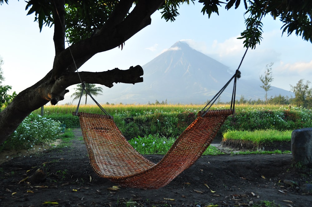 a hammock hanging from a tree with a mountain in the background