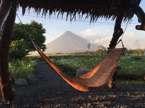 Guests relaxing in hammocks with a backdrop of misty mountains and coffee fields