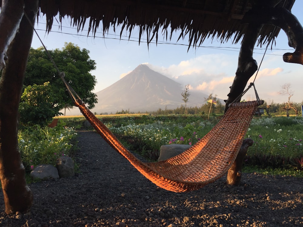 a hammock hanging from a tree in front of a mountain