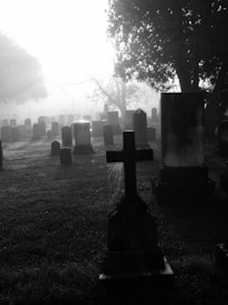 A misty graveyard with numerous tombstones scattered across a grassy landscape. The atmosphere is serene yet eerie with morning fog gently enveloping the ground. Sunlight filters through the trees, casting long shadows and adding to the ethereal ambiance. A prominent cross-shaped tombstone is in the foreground, partially covered in cobwebs, emphasizing the passage of time.
