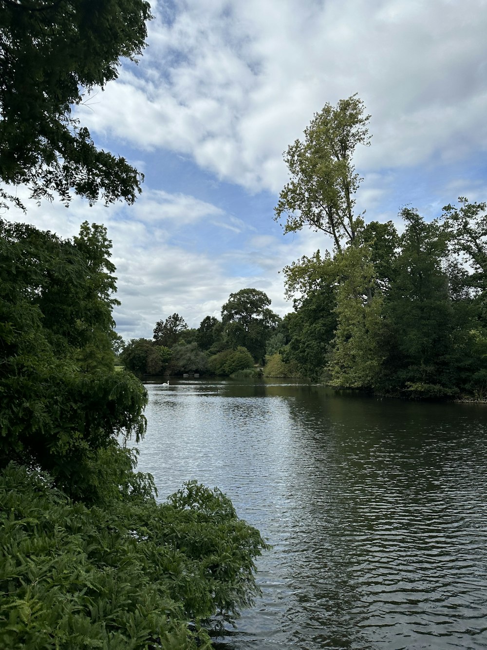 a body of water surrounded by trees and bushes