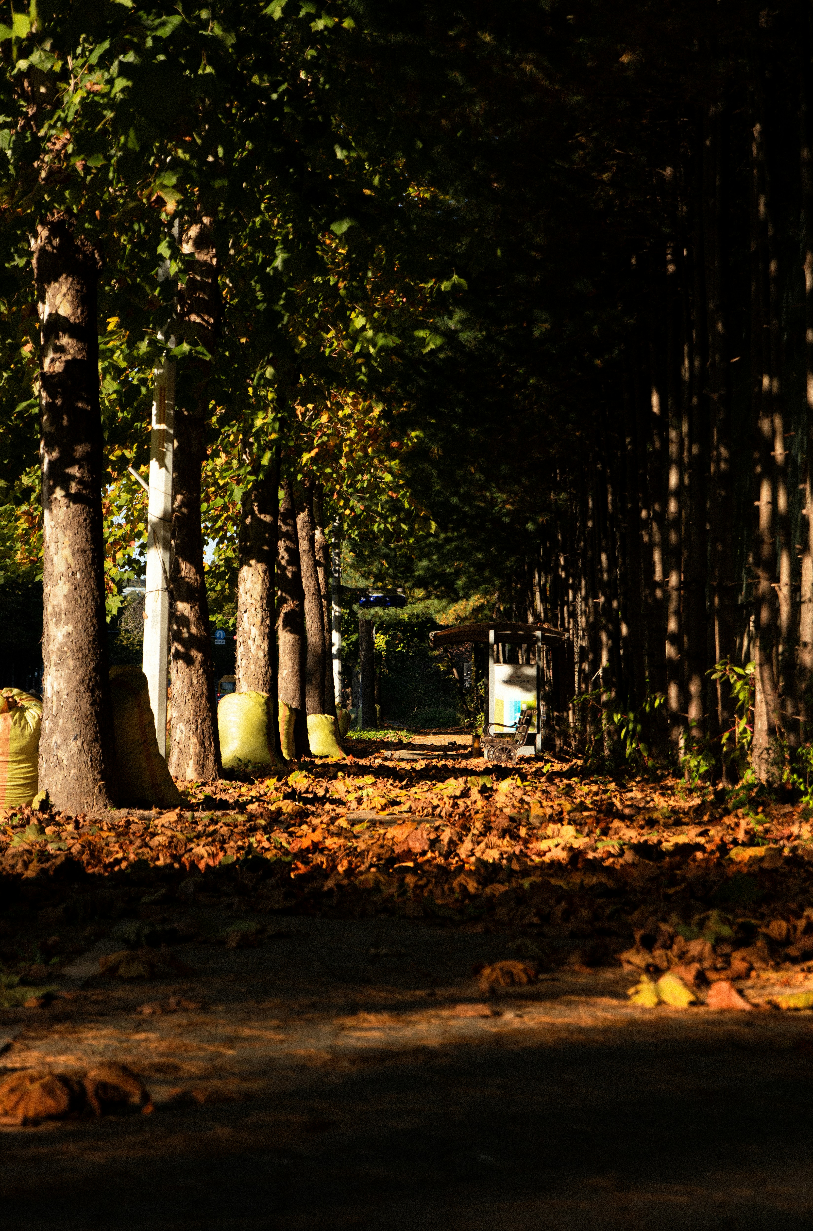 Photo by travelershigh