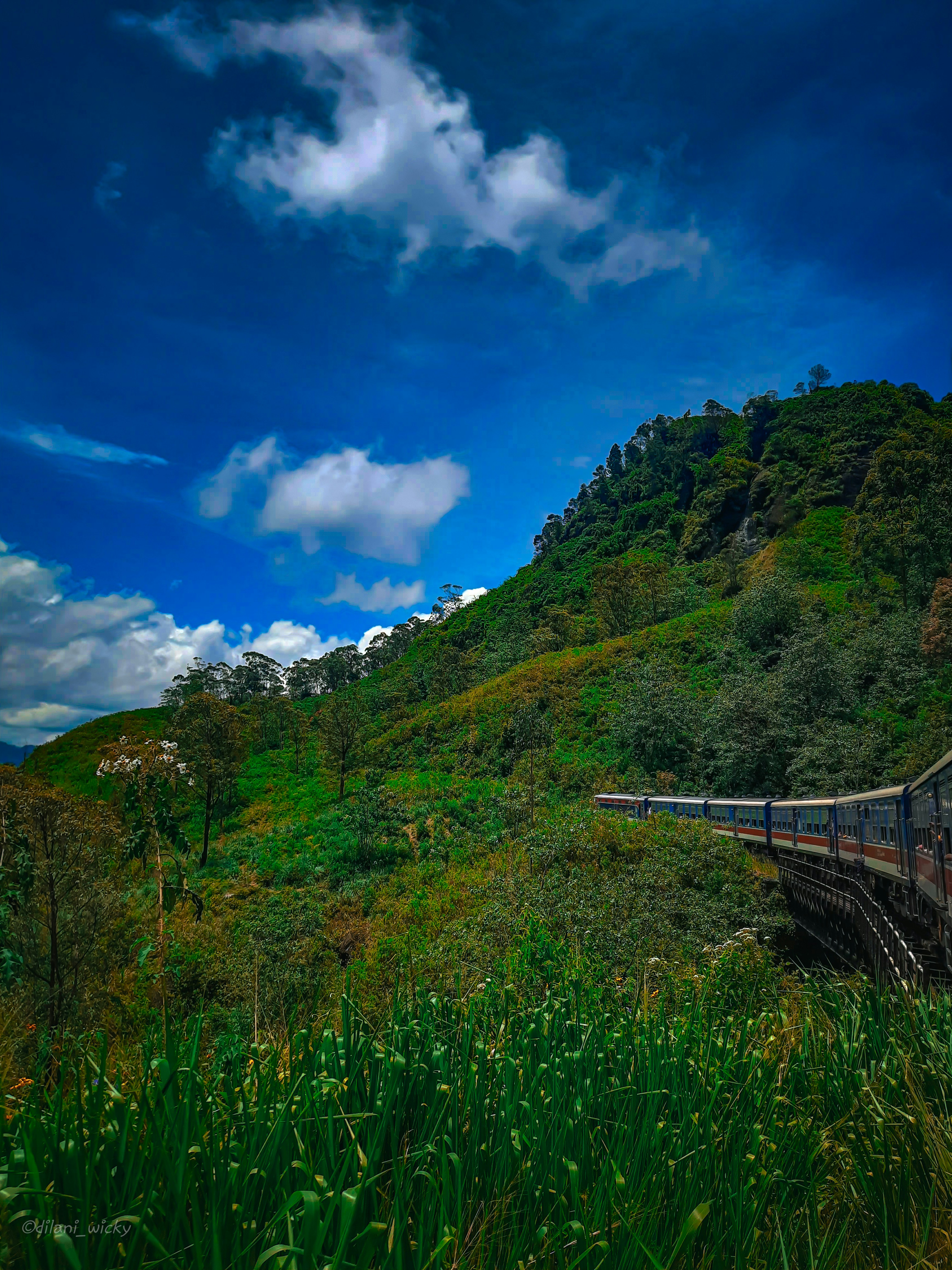 Photo by dilani_wicky