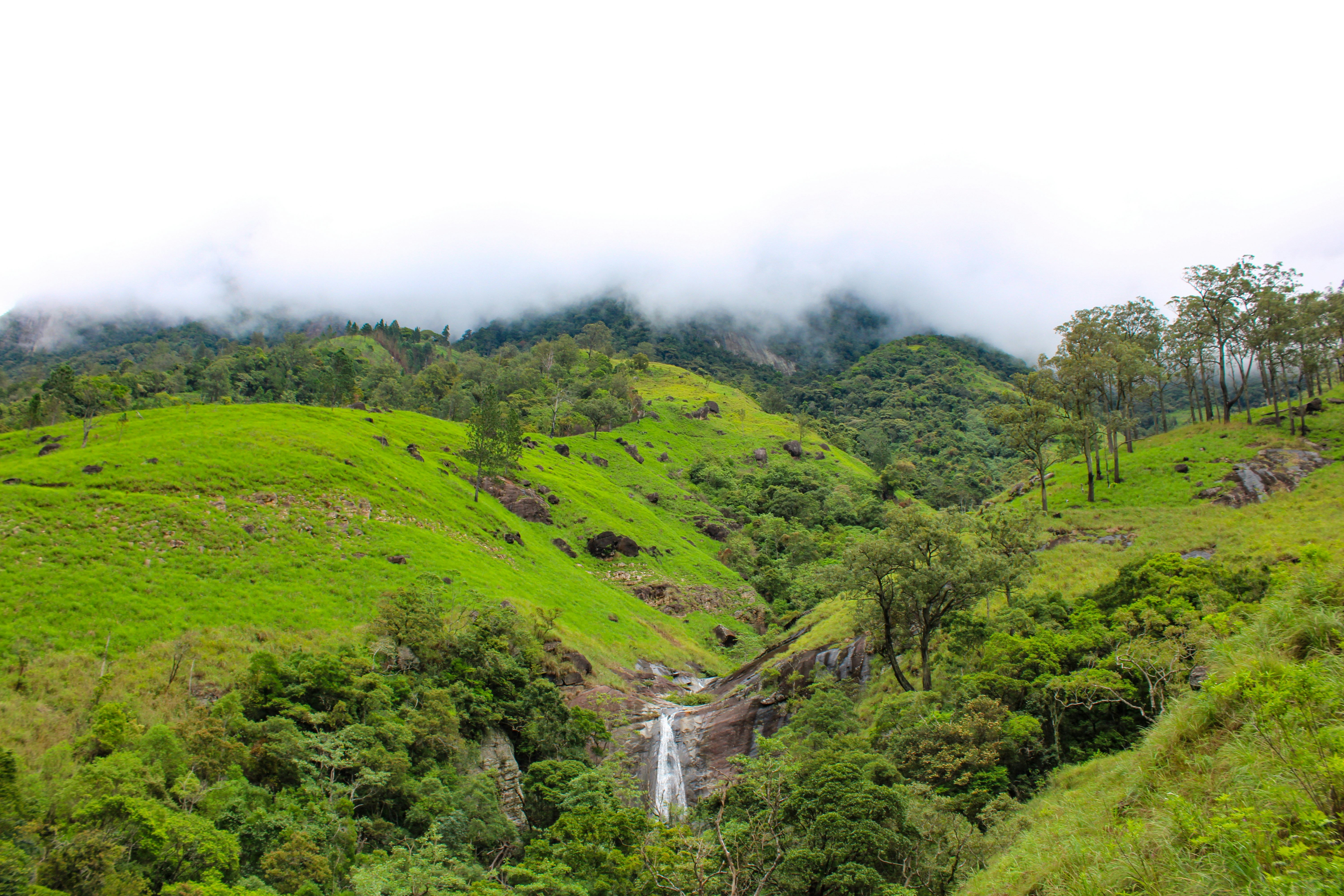 Photo by dilani_wicky