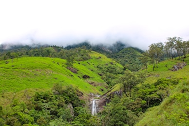 a lush green hillside with a waterfall in the middle