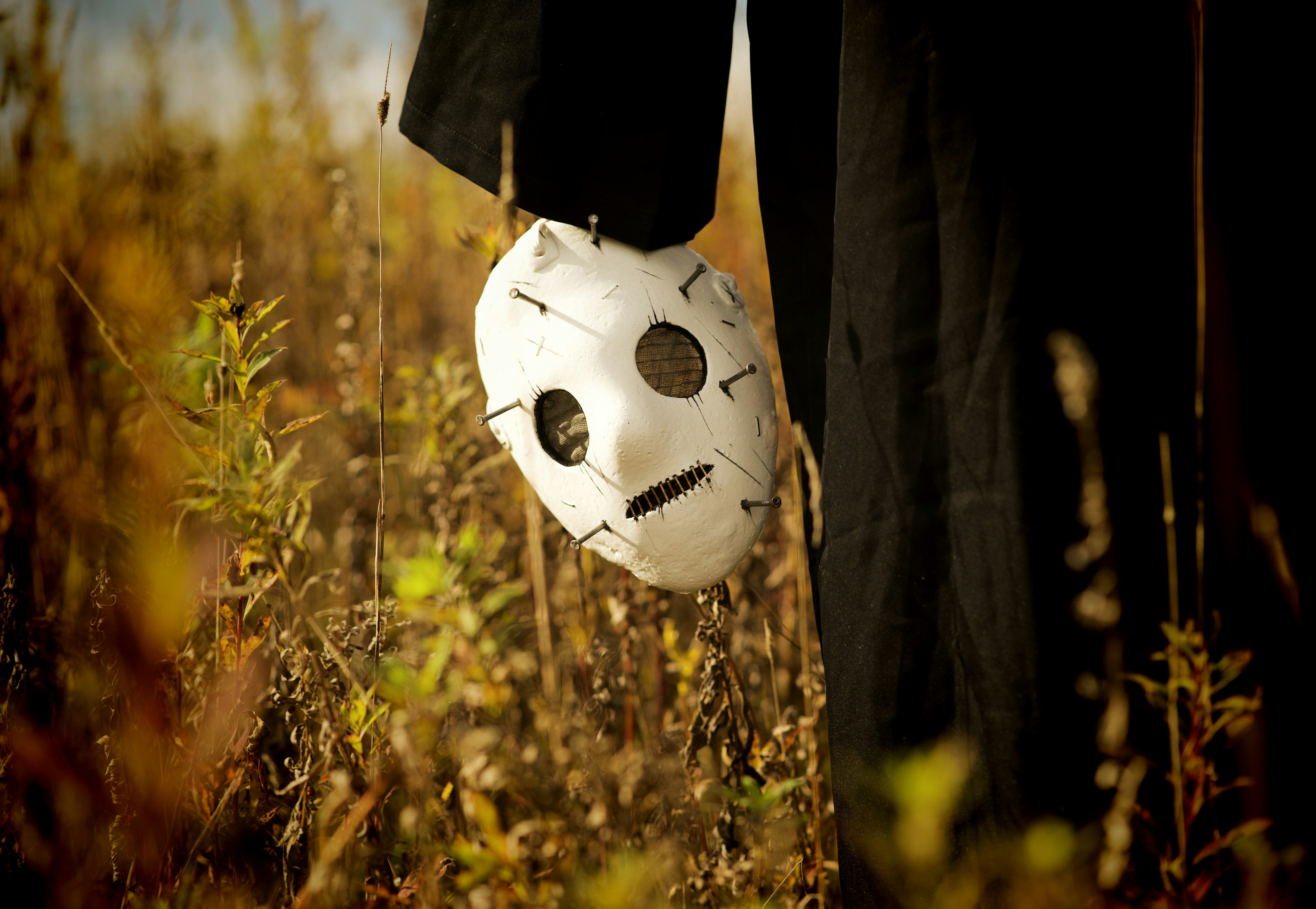 a person holding a white mask in a field