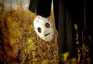 Top-rated Halloween costumes for kids, adults, and pets”
