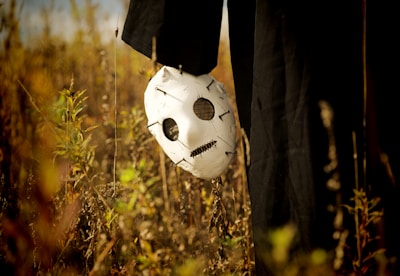 Top-rated Halloween costumes for kids, adults, and pets”