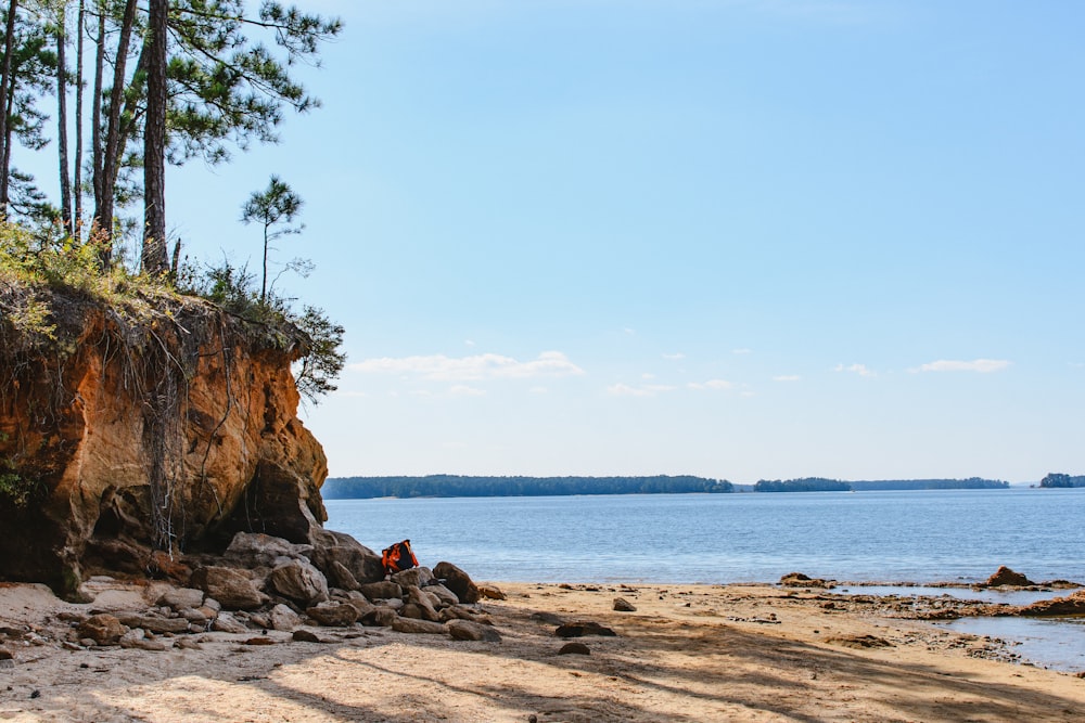 a person sitting on a rock next to a body of water