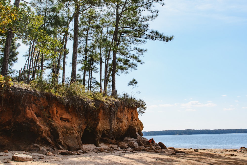 a sandy beach with trees and water in the background