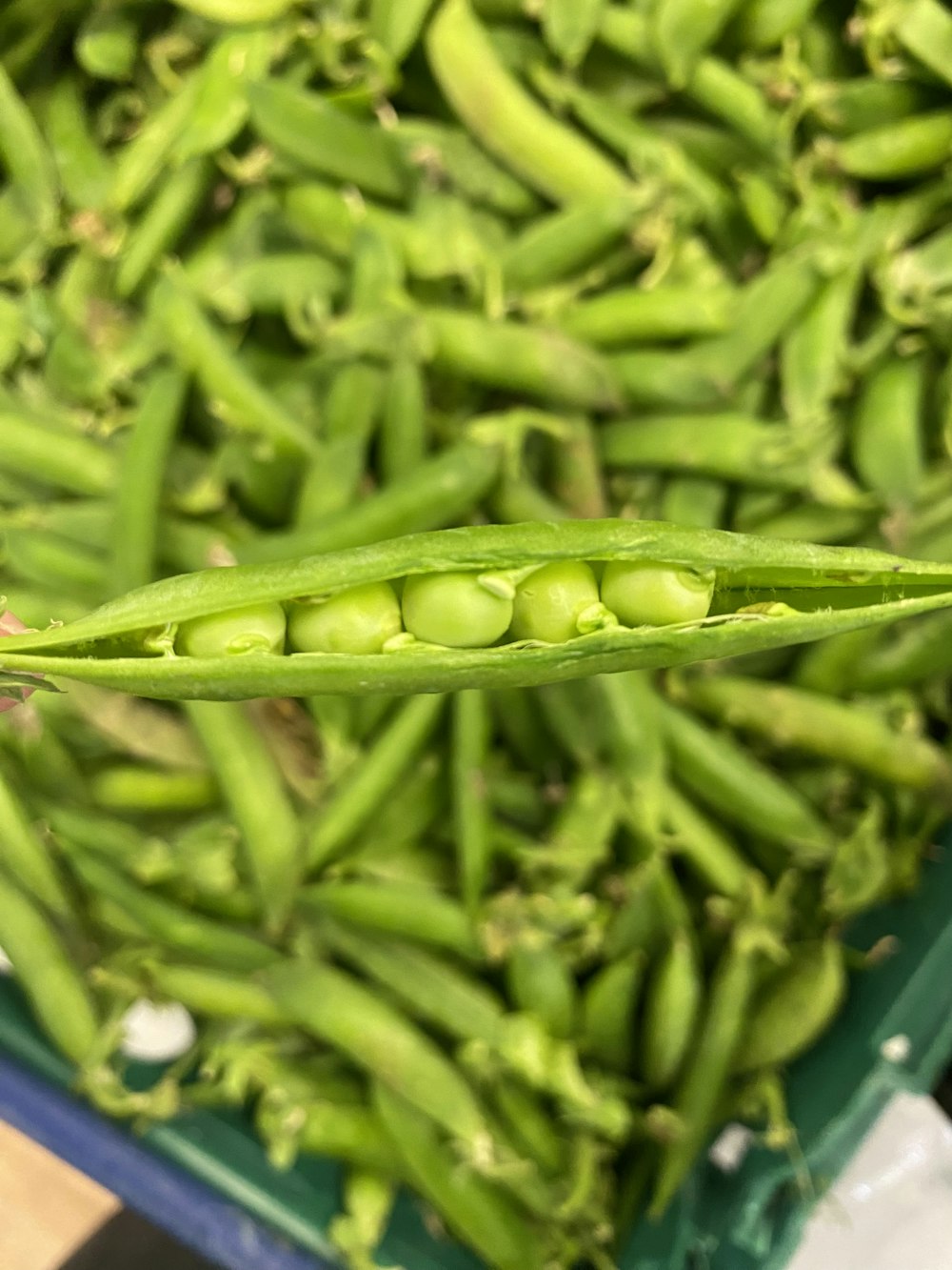 a close up of a pea pod on a table