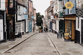 A narrow, cobblestone street lined with quaint shops and businesses. The buildings have a variety of colorful signs and traditional architectural features. There are outdoor signage boards on the sidewalk, and potted plants hanging from some shopfronts. The street is empty, adding to the historical and charming atmosphere of the scene.