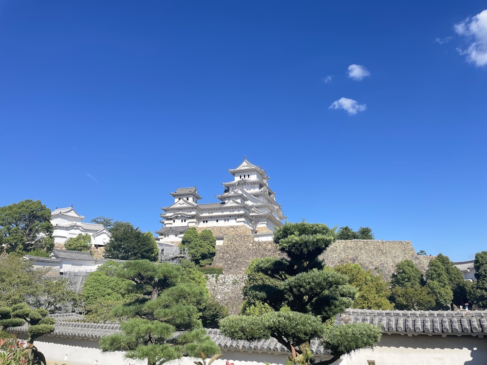 a castle on top of a hill surrounded by trees