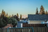 A residential neighborhood is in the foreground with rooftops and fences. Behind the houses, there are tall evergreen trees and a distant mountain peak under a clear blue sky.