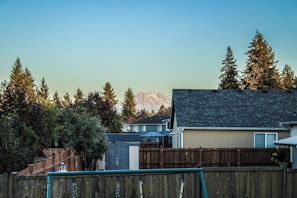 A residential neighborhood is in the foreground with rooftops and fences. Behind the houses, there are tall evergreen trees and a distant mountain peak under a clear blue sky.
