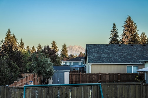 A residential neighborhood is in the foreground with rooftops and fences. Behind the houses, there are tall evergreen trees and a distant mountain peak under a clear blue sky.