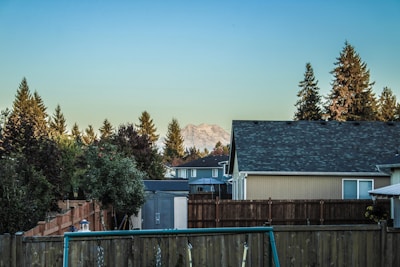 A residential neighborhood is in the foreground with rooftops and fences. Behind the houses, there are tall evergreen trees and a distant mountain peak under a clear blue sky.