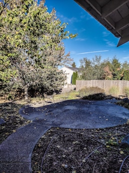 A backyard scene featuring a curved concrete patio with a few scattered chairs and fallen leaves. Surrounding the area are mature trees with dense foliage, and a wooden fence encloses the space. The sky is clear with a single white contrail visible.