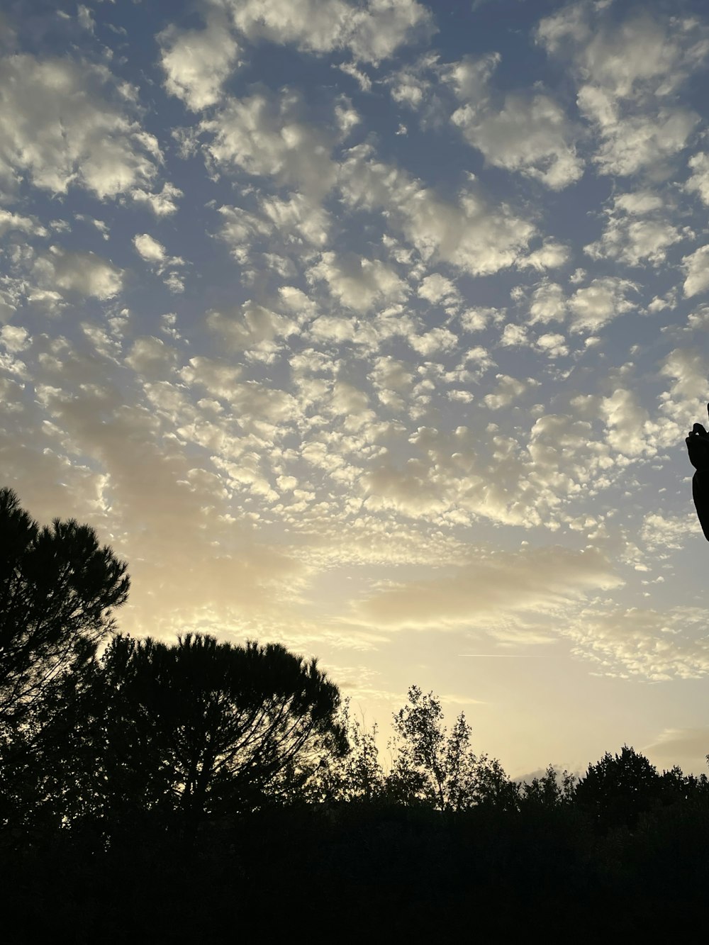 a silhouette of a person with their hands up in the air