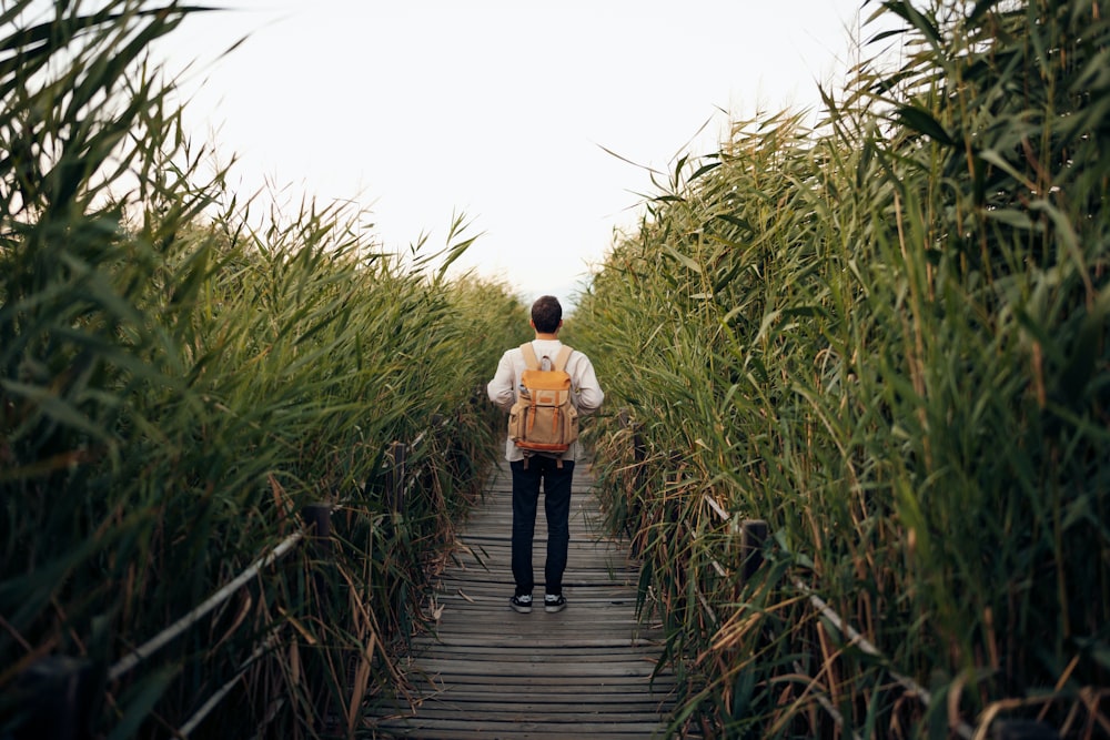 a man with a backpack walks through tall grass